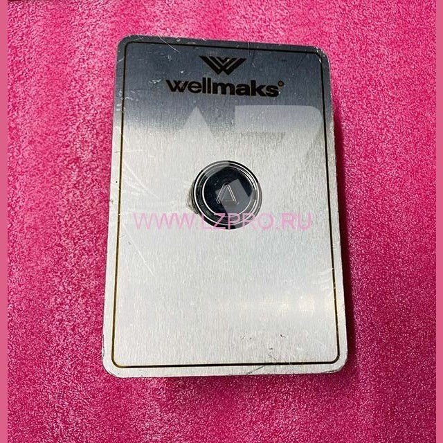 Пост вызывной УЭЛ ПЛВ53-Н1М0100У3 Wellmaks ЩЛЗ